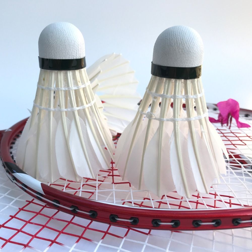 3/6/12Pcs Professional Badmint - Badminton Nylon Shuttlecock ulasan dan harga